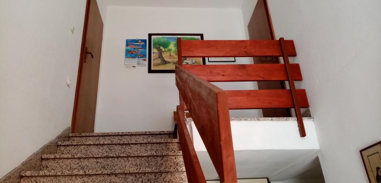 Apartments Bilo Near Primošten Екстериор снимка
