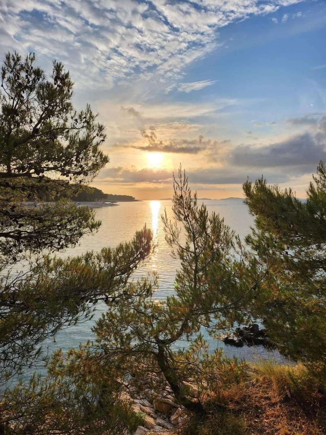 Apartments Bilo Near Primošten Екстериор снимка