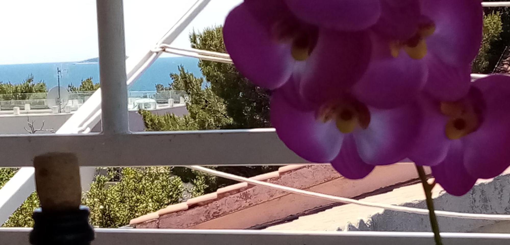 Apartments Bilo Near Primošten Стая снимка