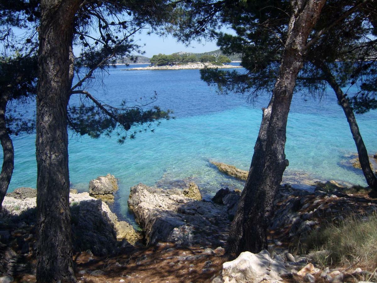 Apartments Bilo Near Primošten Екстериор снимка